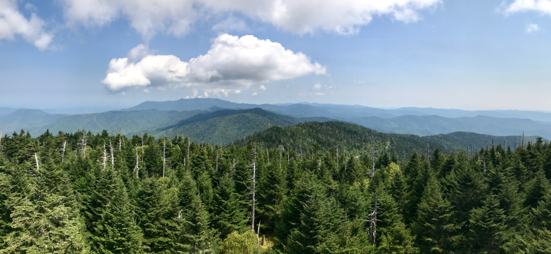Illustration for article titled Clingmans Dome. Highest point in the Smokies.
